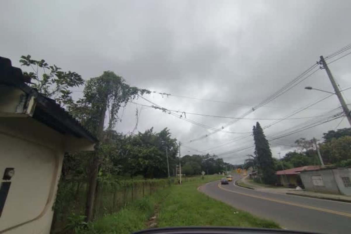 Overgrown greenery adjacent to commercial lot with electricity poles in Villalobos Pedregal Panama
