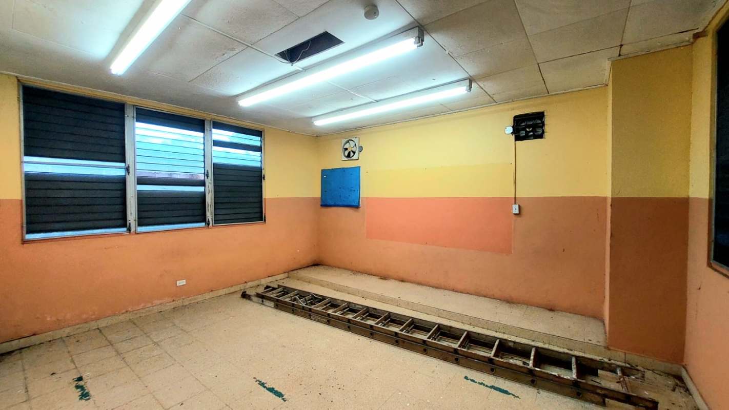 Large backyard area with mature trees and greenery in Panama for sale