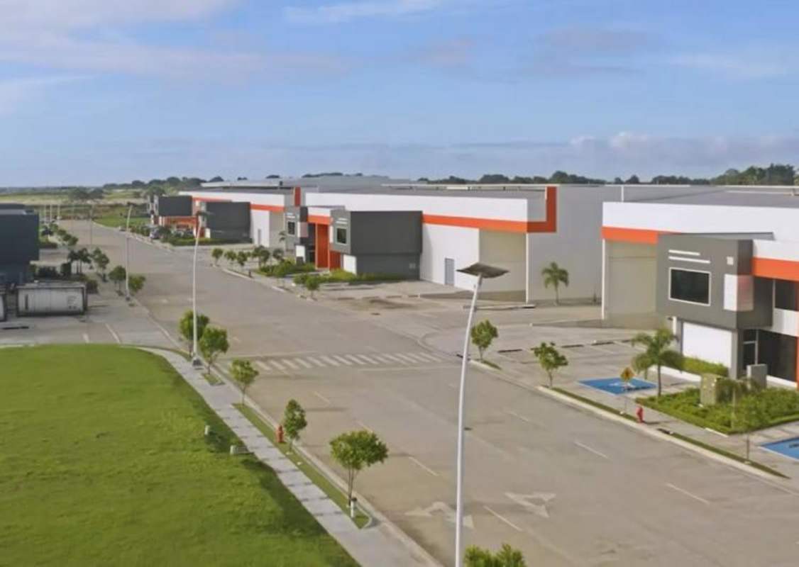 Broad internal roads with palm trees, modern warehouses, solar street lighting inside Panama Free Zone industrial park