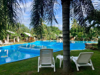 Large tropical swimming pool surrounded by gardens with palm trees and relaxation spaces in Dolega Panama