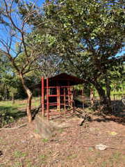 Farm / Cattle Ranch for Sale in Ratones - 0 bedrooms