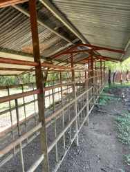 Open-sided livestock barn with metal roof on working cattle ranch at Soná Veraguas Panama