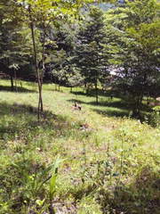 Agricultural & Mining Land for Sale in El Llano - 0 bedrooms