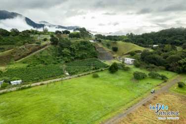 Flexible flat residential land parcel with mountain backdrop in Volcán Panama