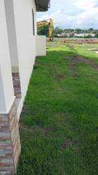 Side yard with lawn at new rental house in Doral Villas Chiriquí Panama