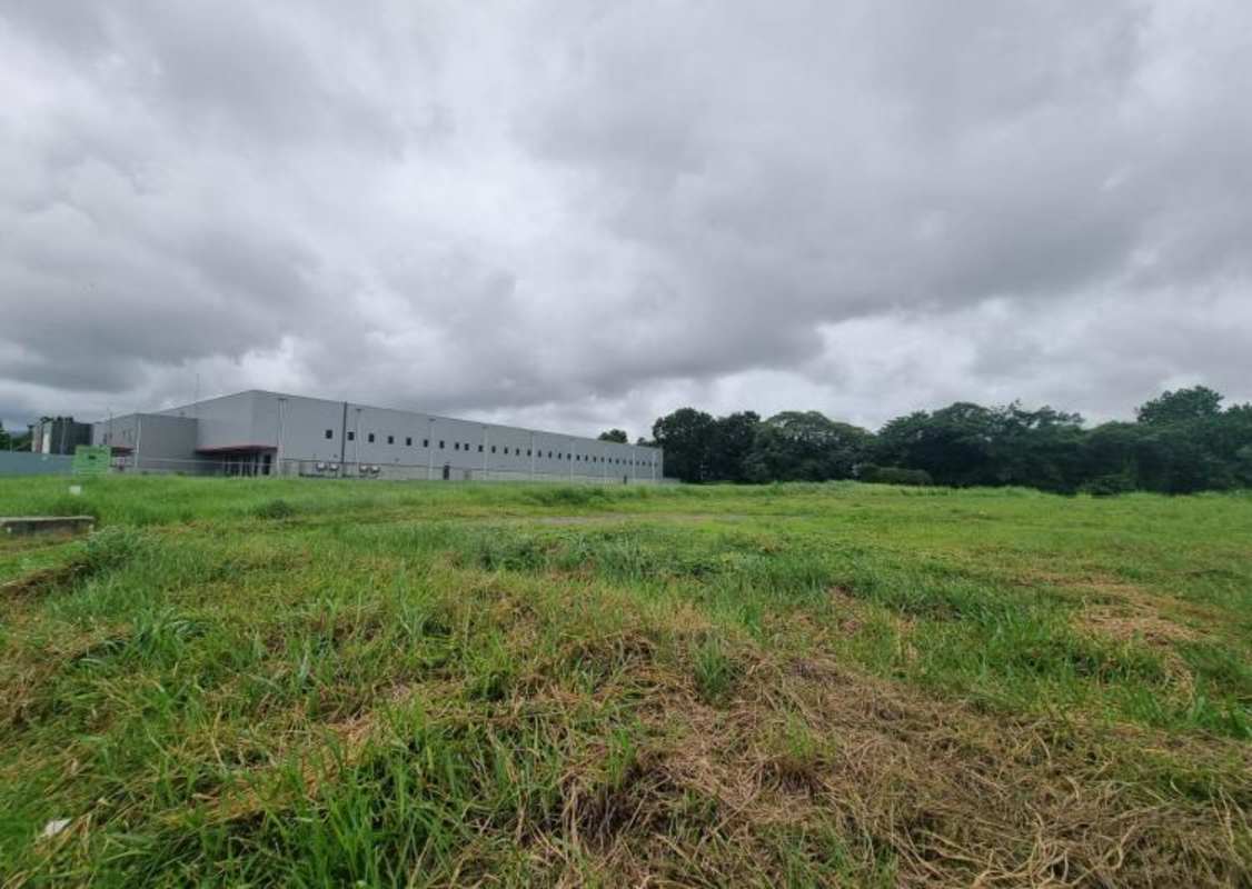 Vacant flat lot parcel for industrial-commercial development with green landscape at Tocumen Commercial Park Panama