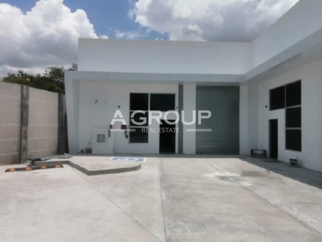 Contemporary commercial warehouse with glass facade, parking lots and palm landscaping