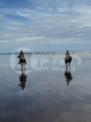 Farmhouse for Sale in Tonosí - 2 bedrooms