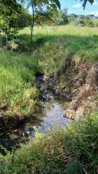 Small natural stream and grassy pasture on agricultural land Paritilla Pocri Los Santos