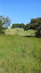 Vacant farmland with grassy pasture under bright sky in Paritilla Pocri Los Santos for cattle or agriculture