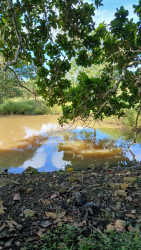 Natural pond and reflection surrounded by trees on agricultural land Paritilla Pocri Los Santos