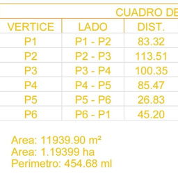 Prime Commercial Land Via Interamericana David Panama