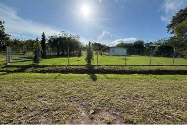 Corner grassy lot with trees and fencing Las Uvas San Carlos Panama
