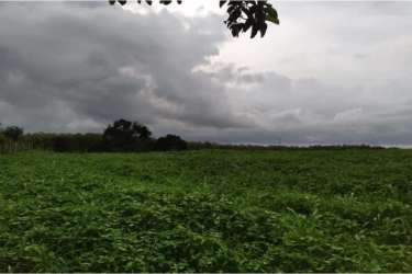 170,000m² Land Near Beach in Pedasi Las Cabezas