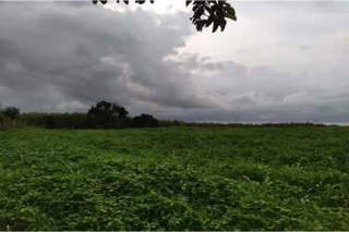 Land for Sale in Las Cabezas / Tonosi - 0 bedrooms