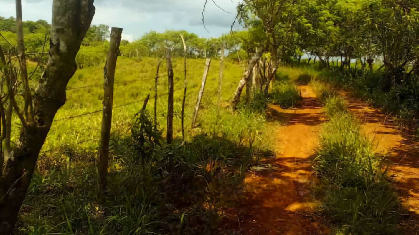 Rustic dirt road with pasture fencing on Panama countryside farm property for sale