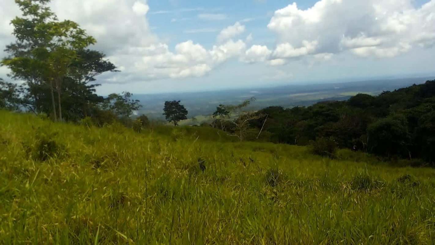 Expansive grassy hillside with trees and panoramic views in Chepo Panama farm for sale