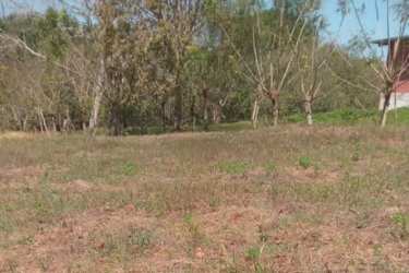 Country lot with wooden fence, trees and utility shed in Pedasí Los Santos
