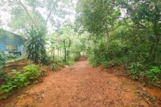 Land lot for Sale in La Chorrera - 0 bedrooms