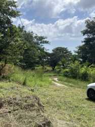 Dirt pathway surrounded by lush greenery and mature trees near ocean view land La Ermita San Carlos Panama