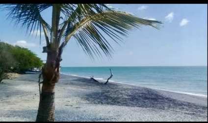 Palm trees, calm waves and white sand of Playa La Ermita Panama beachfront