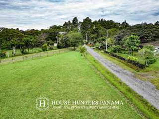 Land for Sale in Dolega - 0 bedrooms