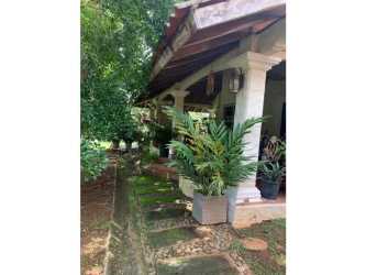 Extensive landscaped garden with mature trees and traditional fountain in countryside house Chitré