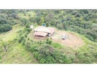 Hilltop surrounded by palm trees and greenery on country land Soná Panama