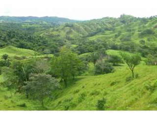 Land with Rural House for Sale in Sona District - 3 bedrooms