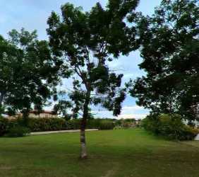 Curved road with trees and green lawns in luxury Buenaventura Resort Panama