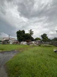Grassy property with trees, storage sheds and fencing Nueva Gorgona Panama
