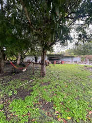 Open backyard area with large trees and shed in Nueva Gorgona Panama