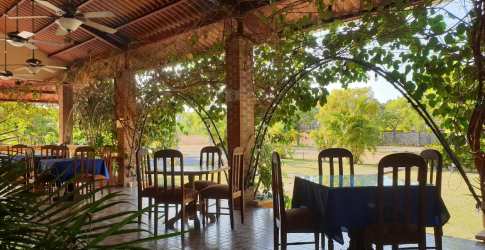 Rustic veranda with dining tables surrounded by greenery at Restaurant El Galeón Panama