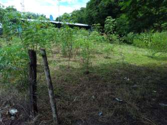 Cleared farmland with wooden fence posts and adjacent greenery under cloudy sky at Divisa Herrera