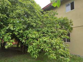 Building for Sale in Las Tablas - 3 bedrooms