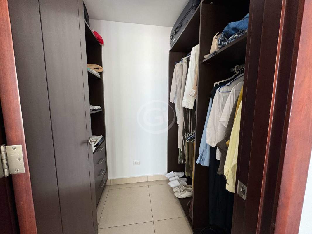 Oceanfront infinity pool with sun loungers at PH Oceanaire Panama