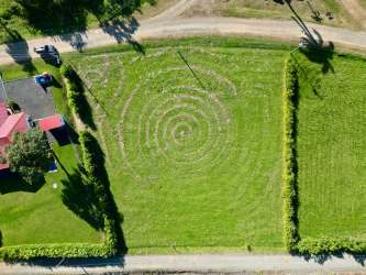Flat buildable vacant lot with trees and open green area in Pedasí Panama countryside