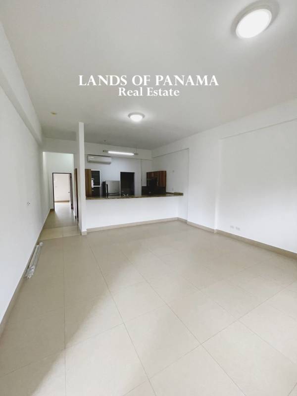 Spacious 2BR Apartment for Rent at PH Embassy Village Albrook