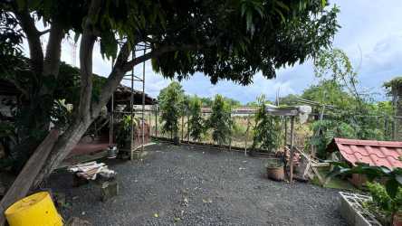 Backyard garden with mature trees, gravel ground and storage in Las Tablas house for sale