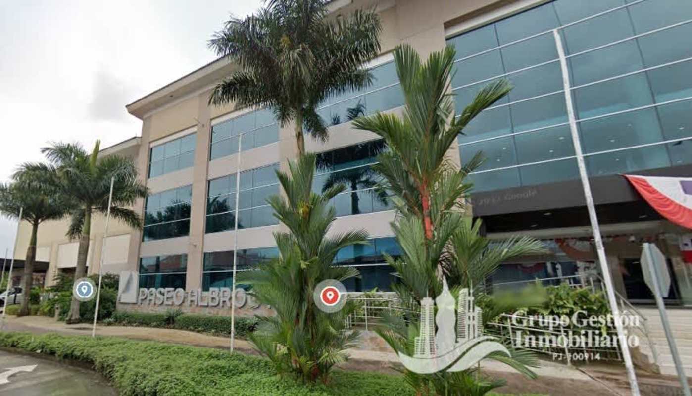 Albrook commercial building facade glass and palms, modern design Panama