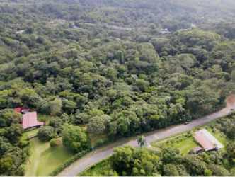 Aerial view of lush forest parcel with two houses and curved road Limón Colon Panama