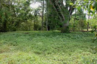 Land for Sale in Limón - 0 bedrooms