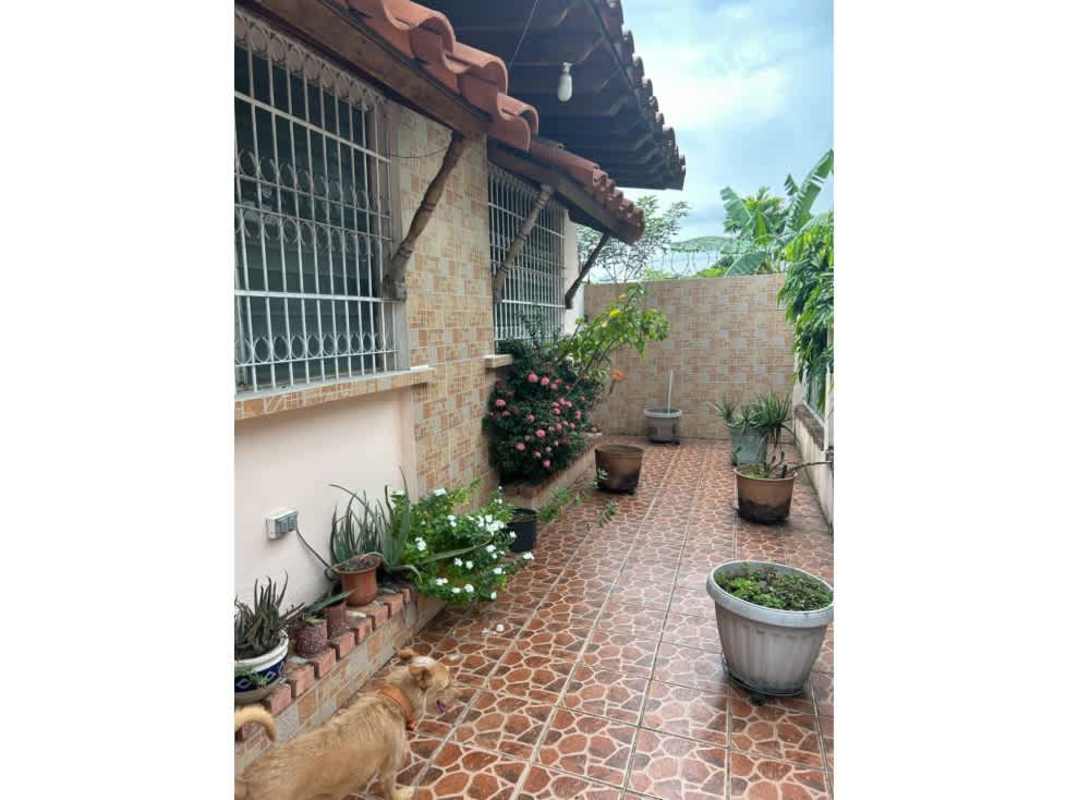 Garden walkway with tiles and potted plants outside Chanis Panama house