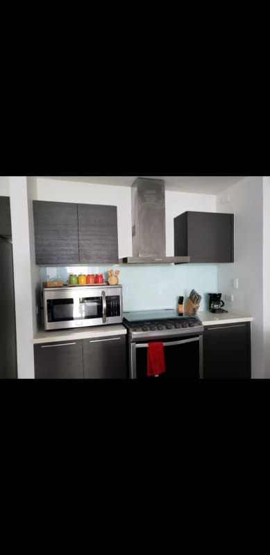 Luxury 2BR Furnished Apartment PH Yoo Panama Marbella Floor 32