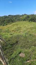 Grassy hillside fenced with wooden posts in rural farmland for sale in El Arado Panama