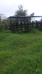 Rustic animal enclosure with wooden fence and simple shed surrounded by green pasture in La Chorrera Panama
