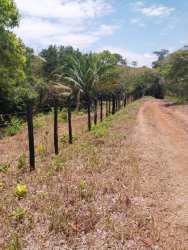 Dirt road through countryside farmland with trees and wooden fence in rural Panama