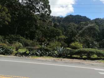 Lush green mountain landscape with roadside vegetation in Volcán Bambito Chiriquí