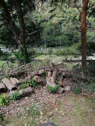 Landscape of riverbank with forest in Bambito Volcán, ideal for eco-resort in Panama