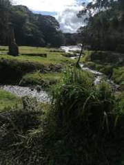 Land for Sale in Tierras Altas - 0 bedrooms